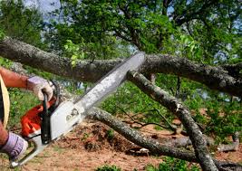 Reliable Southfield, MI  Tree Services Solutions